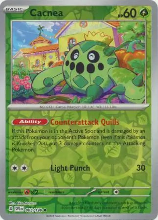 Cacnea Reverse Holo 005